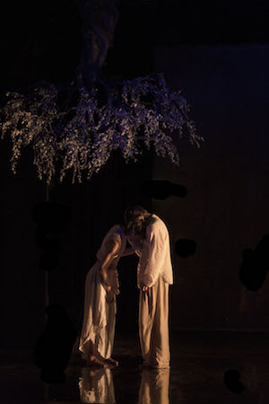 Photo by Stefano Boseggia